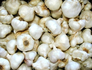 garlic lovers recipes