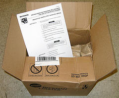Free Shipping Day