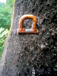protection