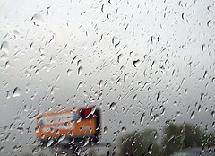 Damp