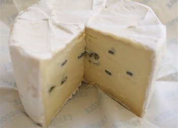  Cambozola and Merlot
