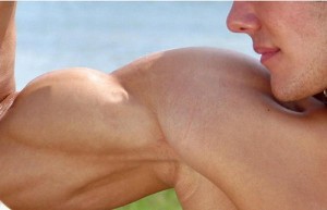 biceps