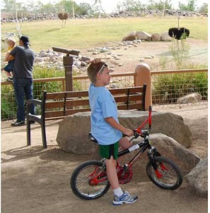 Phoenix, Arizona zoo