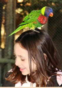 San Antonio, Texas zoo