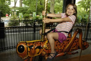 Bronx, New York zoo