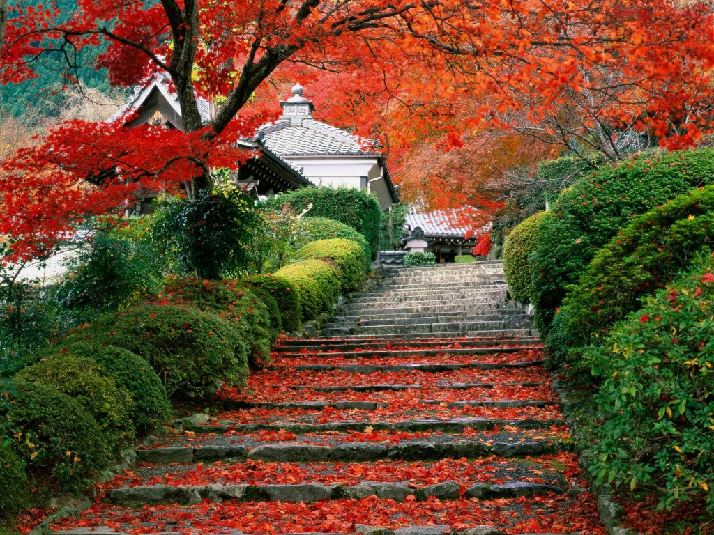  Kyoto, Japan