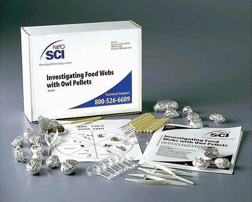 owl pellet kit