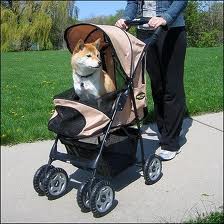 stroller