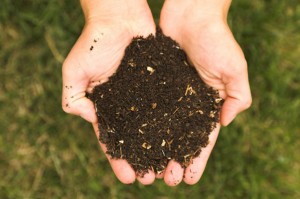 Compost