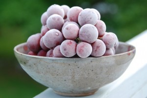top 10 things for chocolate fondue frozen grapes