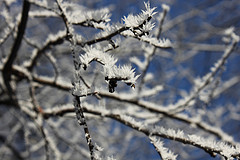 Ice Blue and Silver
