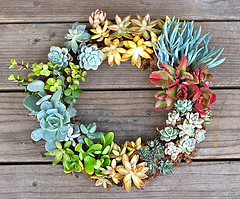Wreath with succulents