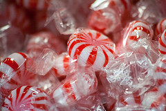 Festive Red & White