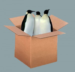 top 10 worst christmas gifts to wrap PENGUINS 
