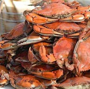 crab recipes