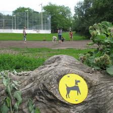 Off Leash