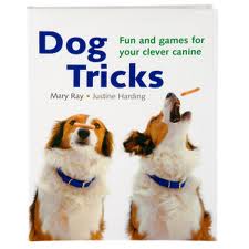 Dog Tricks