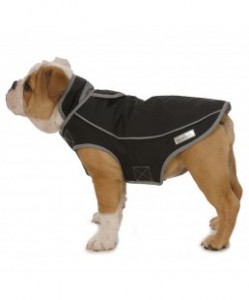 dog in weatherproof parka