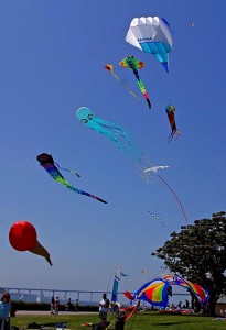 Kites