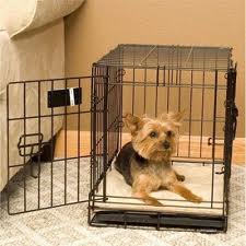 Portable crate