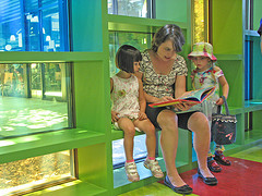 Read Aloud