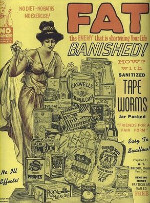 Tapeworms