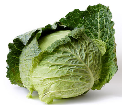 The Cabbage Craze