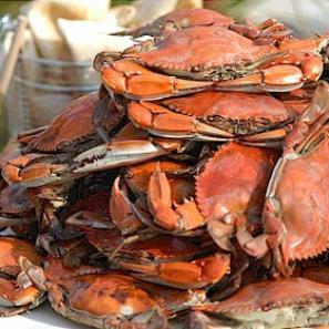 seafood lovers gifts