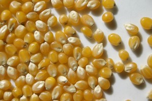 top 10 facts about popcorn