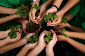 top 10 jewish celebrations for kids tu b'shevat
