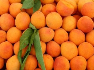 top 10 orchard fruit gifts apricots