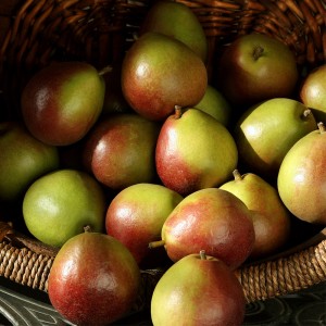 top 10 orchard fruit gifts pears