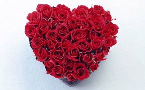 Valentine's Day 