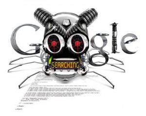 top 10 internet terms you need to know bot