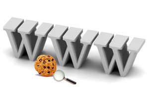 top 10 internet terms you need to know cookies