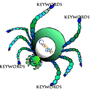 top 10 internet terms you need to know spider