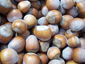 top 10 oregon foods hazelnuts