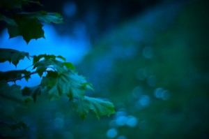  Blue and Green