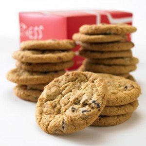  Chocolate Chip