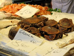 ocean fresh fish