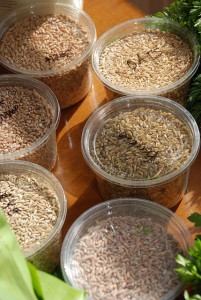 Grains