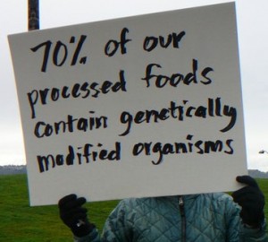 Non-GMO Certified