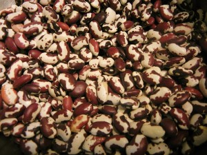 Legumes