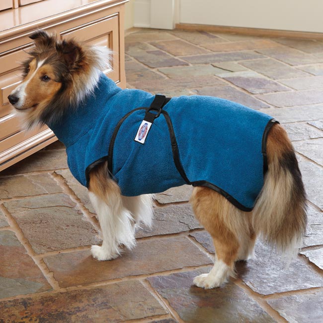 dog clothes