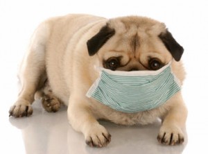 Allergic Reactions
