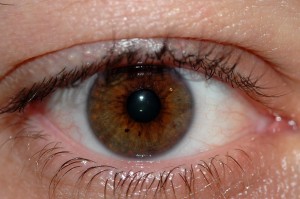 Get Up Close