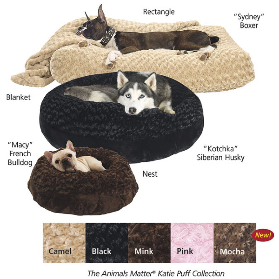 dog bed