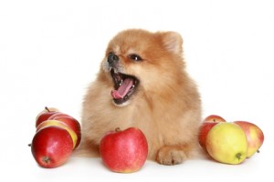 Fruits and veggies