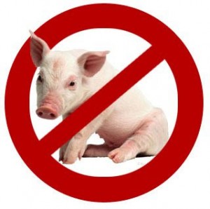 no pigs