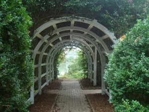 Pavers